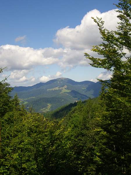 Das Ziel